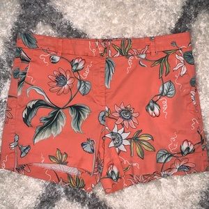 Ann Taylor Shorts